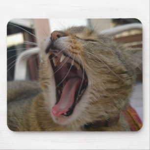 Cat yawn mouse pad