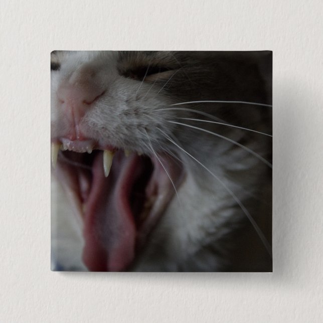 Cat Yawning 2 Inch Square Button (Front)