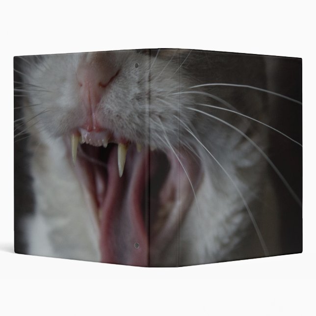 Cat Yawning Binder (Background)