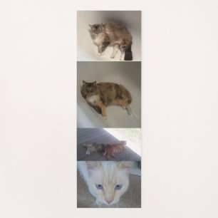 Cat  yoga mat