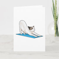 Cat Yoga Meditation Fitness