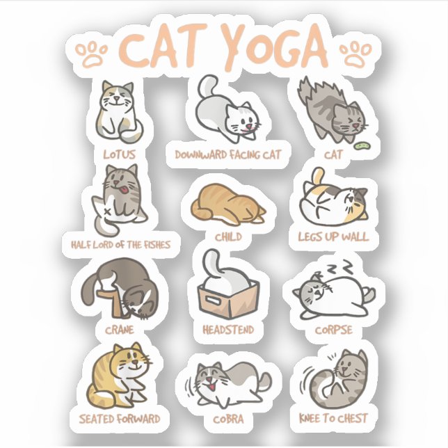 Cat Yoga Poses Cats Practicing Mindfulness Meditat (Front)