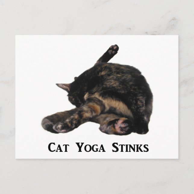 Cat Yoga Stinks Postcard (Front)