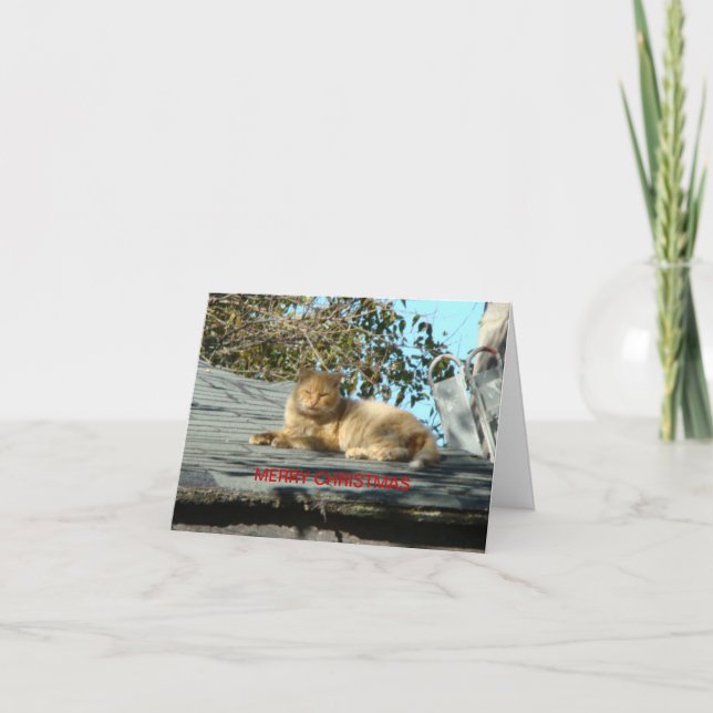 "Cata Claus", Merry Christmas Holiday Card (Front)