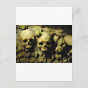 Catacombs in France Postcard