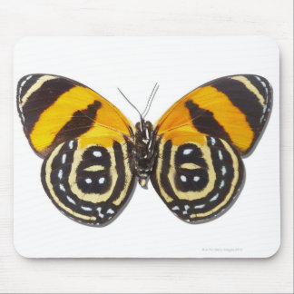 Catagramma cynosura mouse pad