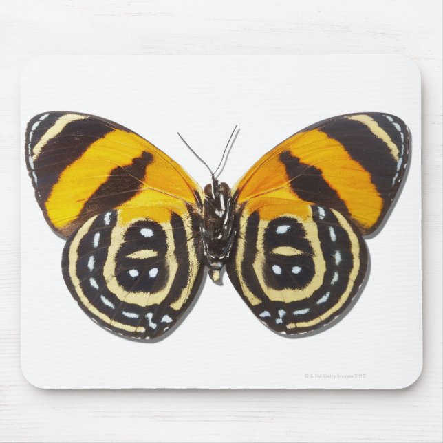 Catagramma cynosura mouse pad (Front)