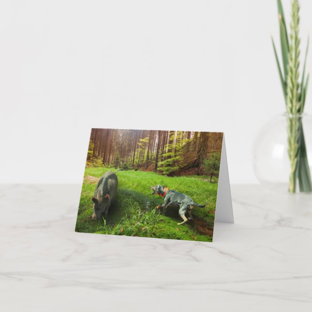 Catahoula and Wild Hog Greeting Card (Front)