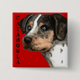 Catahoula Color Block 2 Inch Square Button