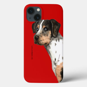 Catahoula Colour Block iPhone 13 Case