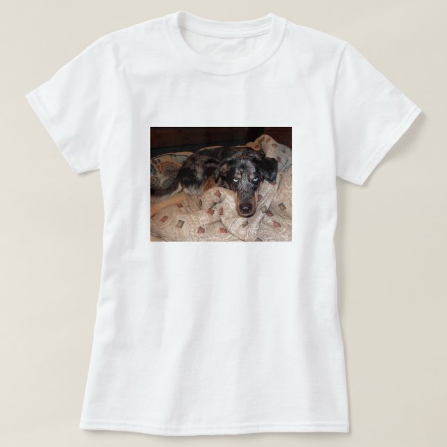 Catahoula Leopard Dog Snoozing T-Shirt (Design Front)