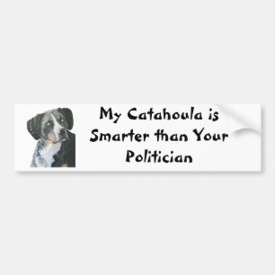 Catahoula vs Politician Bumber Sticker