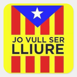 Catalan Estelada flag Square Sticker