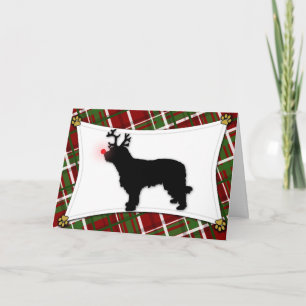 Catalan Sheepdog Reindeer Christmas Card