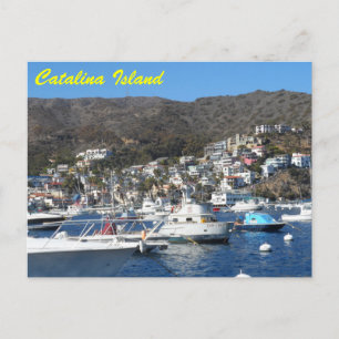 Catalina, California Postcard