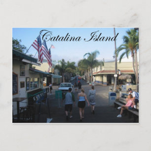 Catalina Island 6 Postcard