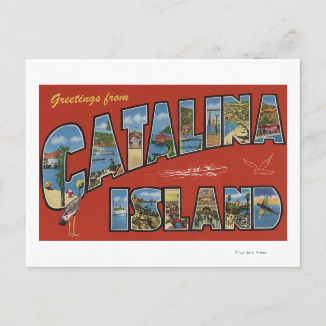 Catalina Island, California - Large Letter Scene Postcard (Front)