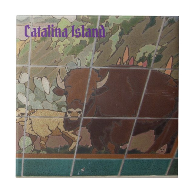 CATALINA ISLAND CERAMIC TILE ISLAND FACE (Front)