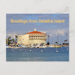 Catalina Island Postcard