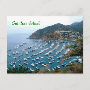 Catalina Island Postcard