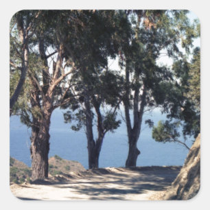 Catalina Island Square Sticker
