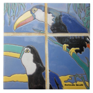 CATALINA ISLAND TILE PHOTOGRAPH