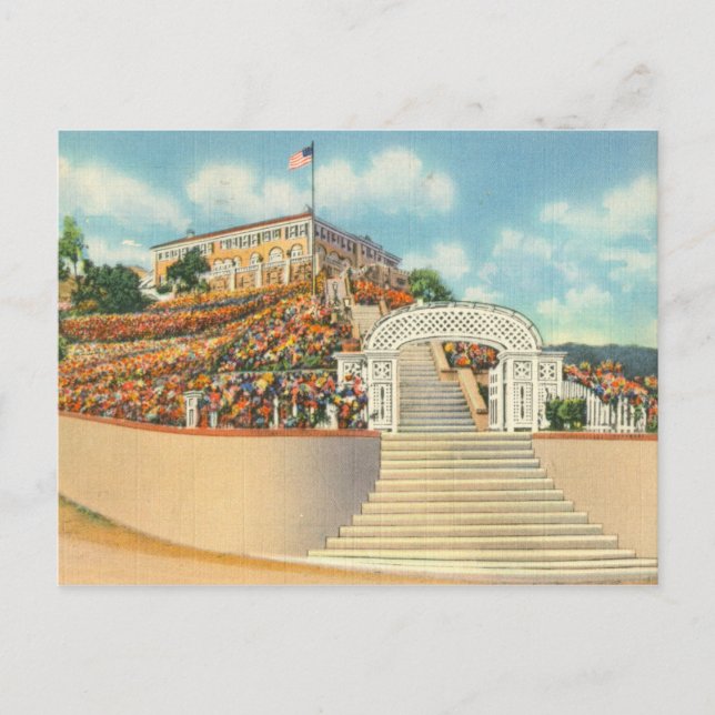 Catalina Postcard (Front)