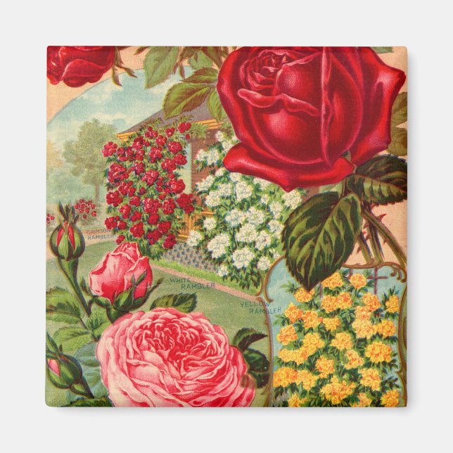 Catalogue des semences 12 aimants (Devant)