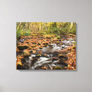 Cataloochee Creek NC Great Smoky Mountains Canvas Print