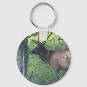 Cataloochee Elk Keychain