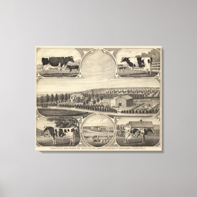 Catalpa, Nebraska Canvas Print (Front)