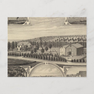 Catalpa, Nebraska Postcard