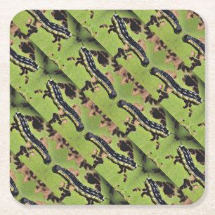Catalpa Worms Camo Catfish Fishing Square Paper Coaster