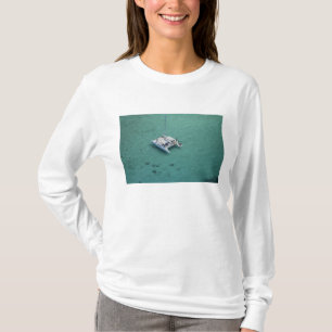 Catamaran, Mamanuca Islands, Fiji, South Pacific T-Shirt