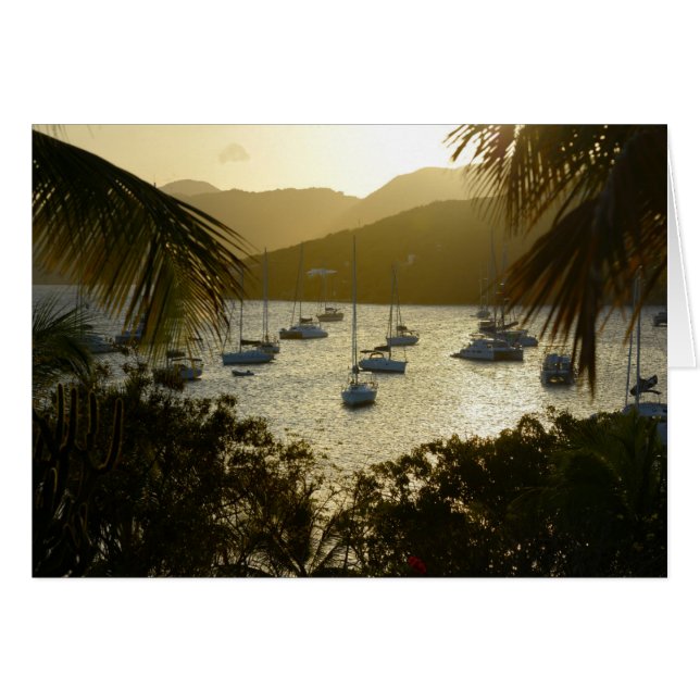 Catamarans et sailboats (Devant horizontal)