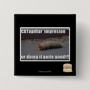 CATapillar 2 Inch Square Button