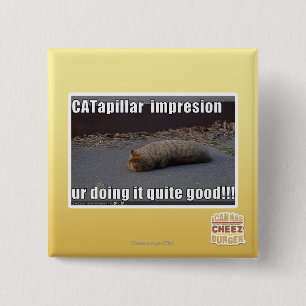 CATapillar 2 Inch Square Button