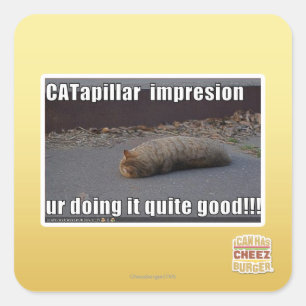 CATapillar Square Sticker