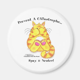 CATastrophe Magnet