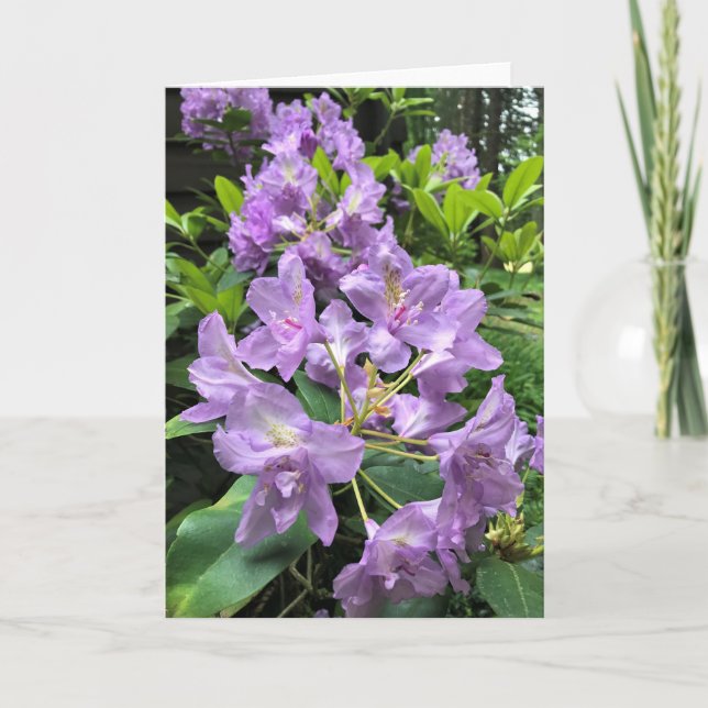 Catawbiense Boursault Rhododendrons, Oregon Card (Front)