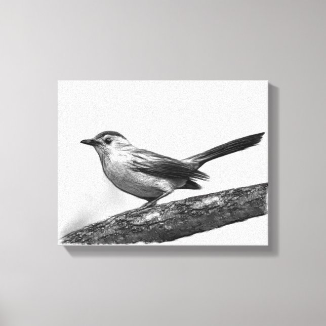 Catbird Canvas Print (Front)