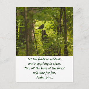 Catbird in the Forest Green Postcard