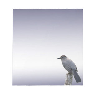 Catbird Notepad