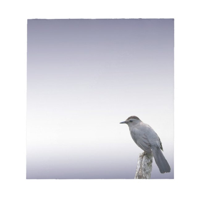 Catbird Notepad (Front)