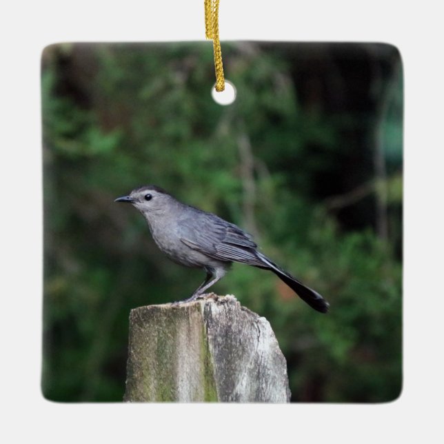 Catbird Ornament (Front)