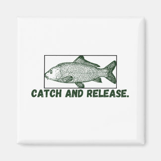 Catch and release magnet