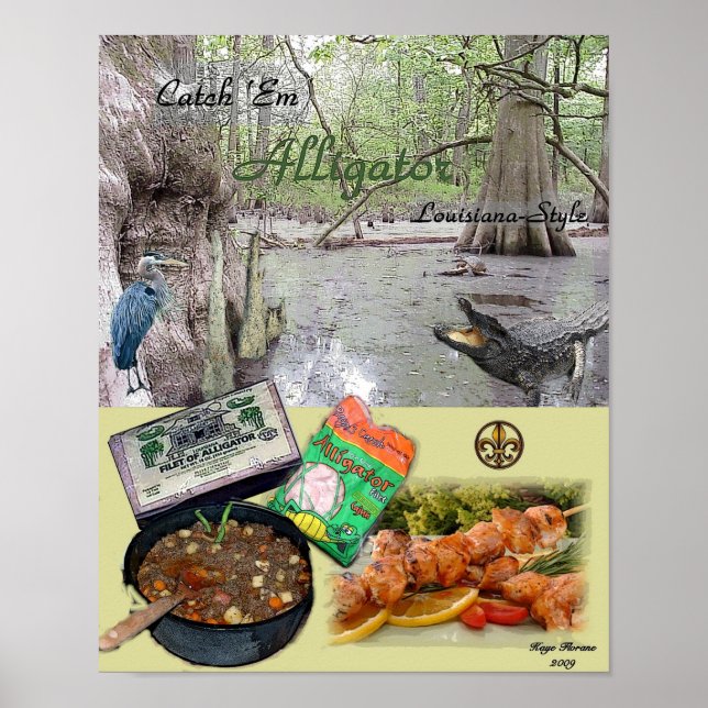 Catch Em Alligator Poster (Front)