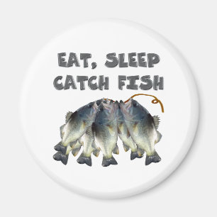 catch fish magnet