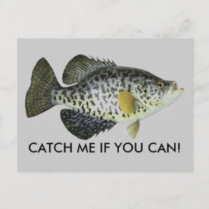 CATCH ME IF YOU CAN! POSTCARD