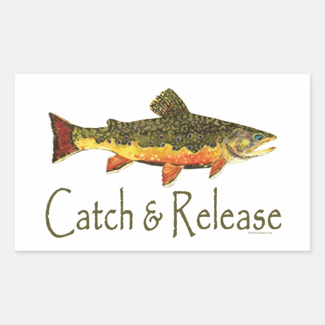 Catch & Release Trout Fishing Sticker (Front)
